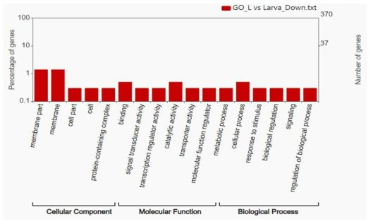 L과 larva 시료 유전자 발현 비교 Ontology Analysis of down regulated genes