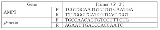 Apis mellifera 조직에서의 유전 발현 분석을 위한 프라이머 서열