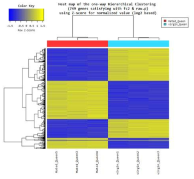 Heat map of the way hierarchical clustering (749 genes satisfying with fc2 & raw signal) using z-score for normalized value