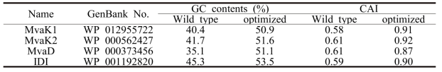 Analysis of the optimized genes of the bottom portion of the MVA pathway