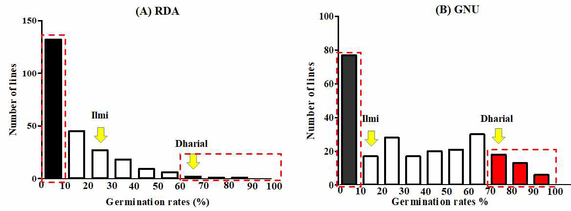 일미벼를 통해 만든 250개의 AB-RIL 계통을 대상으로 2012년((A) RDA)와 2015년((B) GNU) 두 번의 조사 결과 얻은 발아력 분포도. (A) RDA는 2011년 수확 후 상온 저장 후 2012년 퇴화 처리(50℃, 6일간) 후 발아력을 조사한 것이고 (B) GNU는 2012년 수확 후 3년 상온 저장 후 2015년 퇴화 처리(50℃, 2일간) 후 발아력을 조사한 것이다. Control 계통인 일미벼와 Dharial의 발아력은 노란 화살표로 표시하였다. Dharial과 비슷하거나 높은 발아력을 보인 계통은 각각 4계통과 37계통이다(그림 3의 점선 박스)