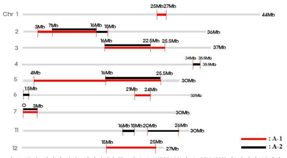 종자 저장성 우수 일미벼 BC3/F7 계통 A-1(722122)와 A-2(LM205)에 삽입된 15개의 Dharial chromosomal fragments