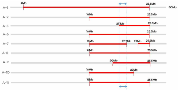 9개의 저장성 우수 계통이 공통으로 가지고 있는 1.1 Mb의 Dharail fragment의 염색체 위치