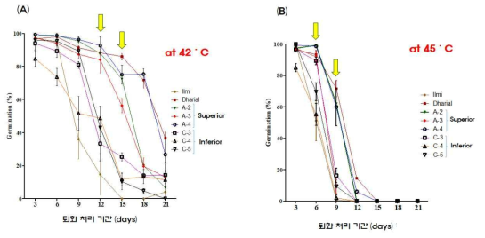 (A)는 42℃가 퇴화 처리 온도이며 (B)는 45℃ 퇴화 처리 온도이다. 각각 3일, 6일, 9일, 12일, 15일, 18일 및 21일 동안 퇴화 처리 후 발아율을 standard error bars와 함께 나타낸 것이다. 노란 화살표는 Dharial과 우수 계통이 일미벼와 열성 계통보다 우수한 발아력을 보이는 퇴화 처리 기간을 나타낸 것이다