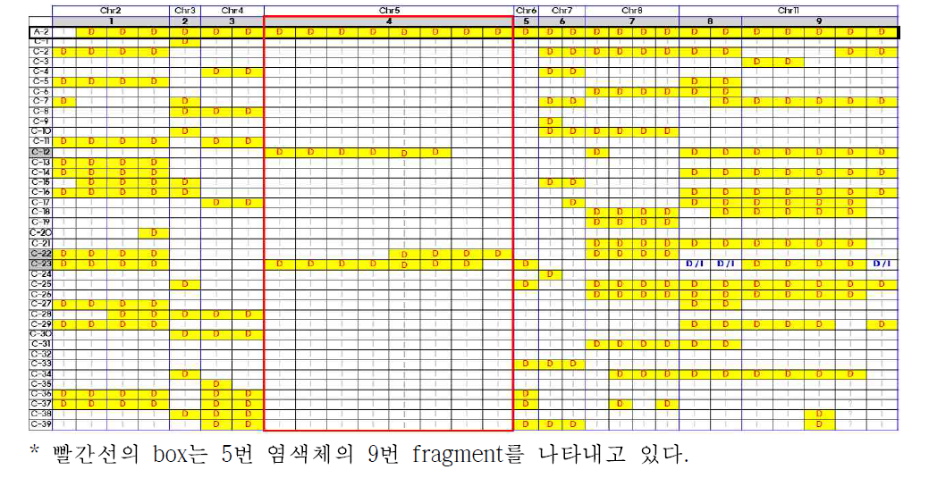 39개 저장성 열성 계통에 대한 A-2에 introgression된 9개의 Dharail fragment의 genotyping 결과