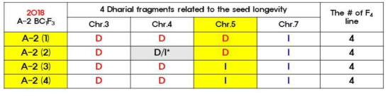 A-2와 일미벼간의 F3 세대에서 3번, 4번, 5번 그리고 7번 염색체의 Dharial fragment에 대한 genotype