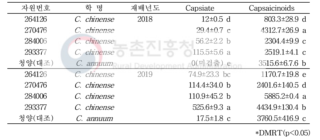 Capsiate 고함량 고추 유전자원의 Capsaicinoids 함량 정보(mg/kg, DW)