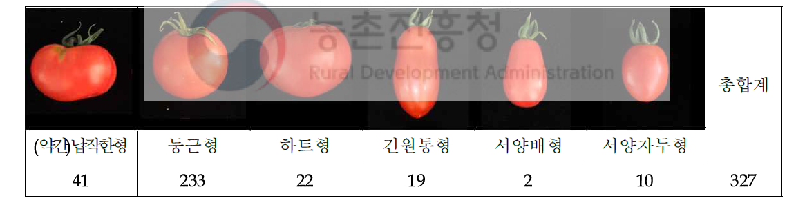 토마토 유전자원 327자원의 과형 분포