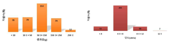 토마토 유전자원의 생과중(좌) 및 당도(우) 분포