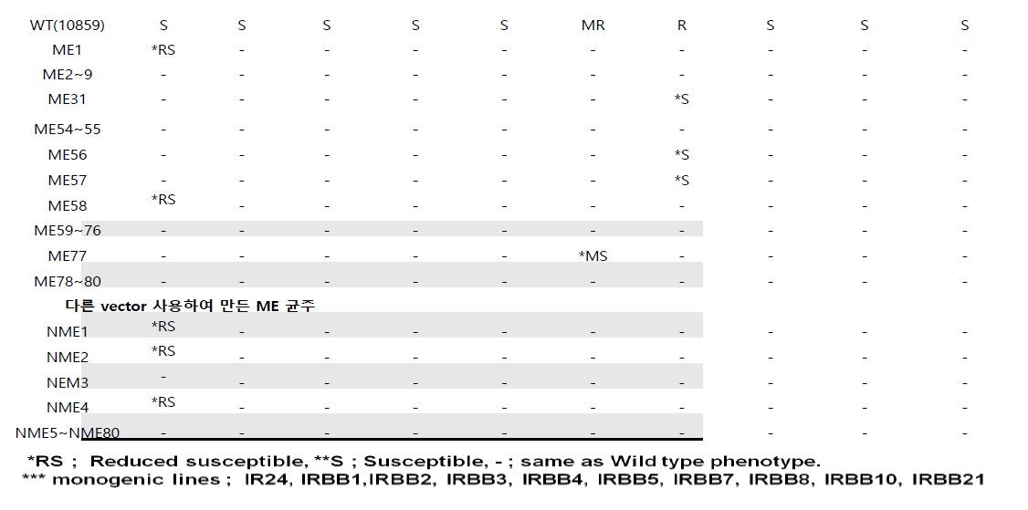 Disease assay of Xoo mutant on monogenic rice