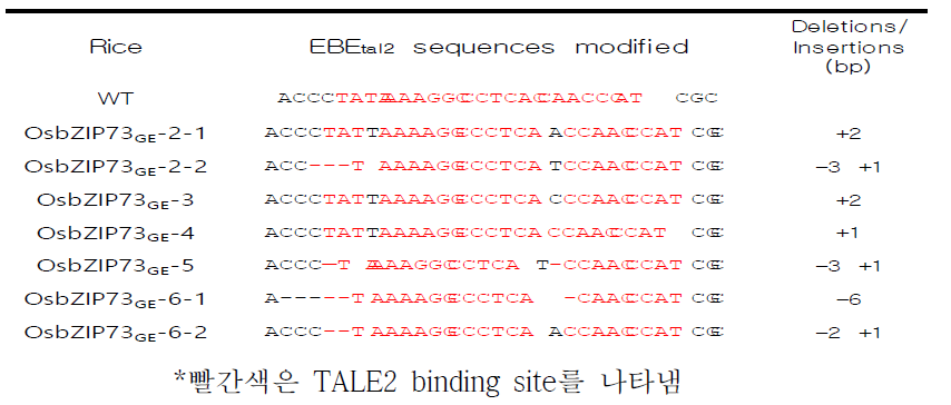 벼 형질전환체의 OsbZIP73 promoter In/Del분석 및 확인