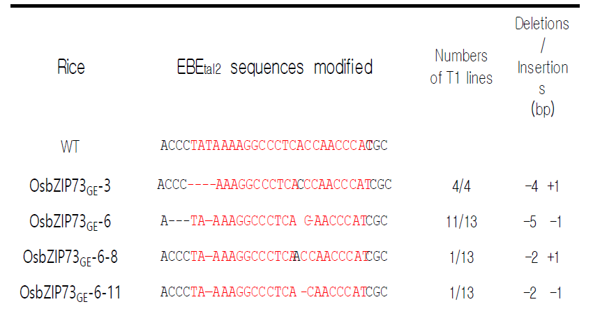 pOsbZIP73GE T1개체의 변이서열분석