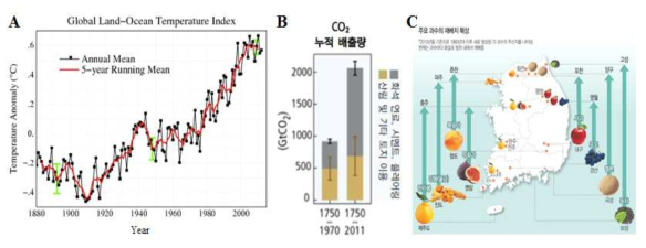 지구 표면의 온도 상승(A), 누적 CO2 배출량(B) 및 주요 과수 재배지 변화(C)