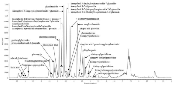HPLC analysis를 통한 배추의 새싹에서 대사물질(metabolite) 분리