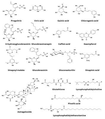 대사물질 (metabolite)들의 화합물 구조 분석