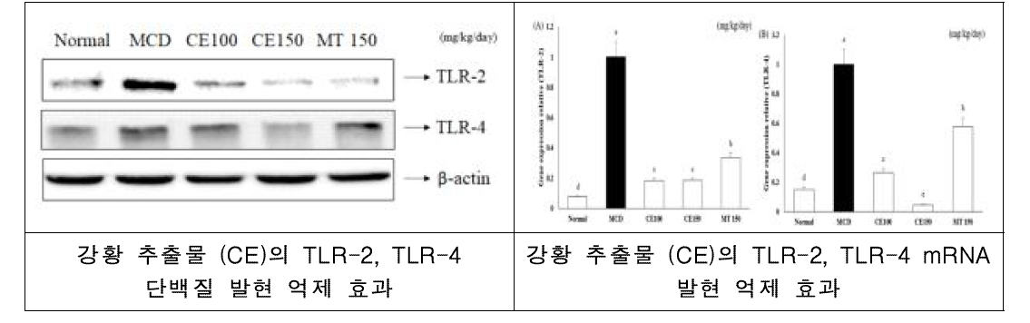 강황추출물 투여군에서 Toll-like receptor-2 및 toll-like receptor-4 단백질의 mRNA 발현 감소