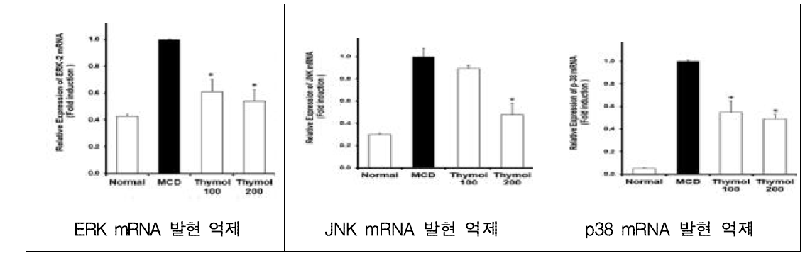 ERK, p38 및 JNK mRNA 발현 감소 확인