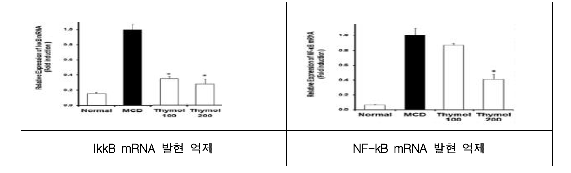 염증관련 인자 IkkB, NF-kB의 mRNA 발현 감소 확인