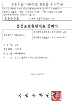 No.149(20T09, 시판명:칼라대왕) 품종보호출원 통지서