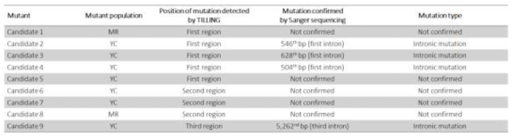 TILLING 기법과 Sanger sequencing을 통해 확인된 DNA 서열상의 변이