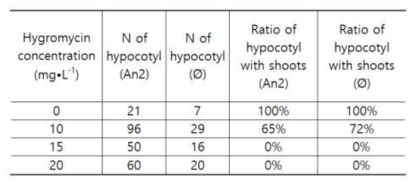 BIM 배지의 hygromycin 농도에 따른 신초 형성 비율