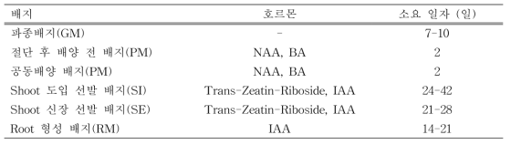 ‘Micro-tom’ 형질전환 과정 및 배지 상의 소요일자