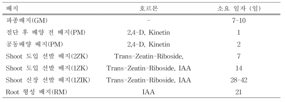 ‘M82’ 형질전환 과정 및 배지 상의 소요일자