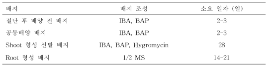담배 형질전환 배지 조성 및 소요 일자
