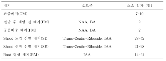 Micro-tom 형질전환 과정 및 배지 상의 소요 일자