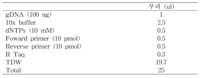 삽입 유전자 확인을 위한 PCR mixture 조성