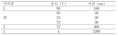 삽입 유전자 확인을 위한 PCR 반응 프로그램