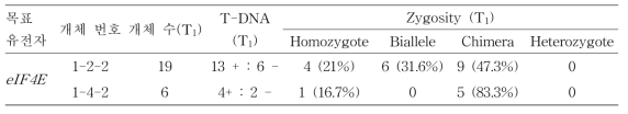 eIF4E T1 라인 돌연변이 양상 요약