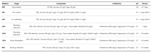 ‘Micro-Tom’ 토마토 Ubi::Cas9 형질전환에 사용된 배지 조성 및 배지 별 배양 기간