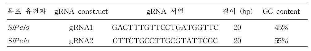 토마토 CRISPR/Cas9 Pelo gene 타겟 gRNA 서열
