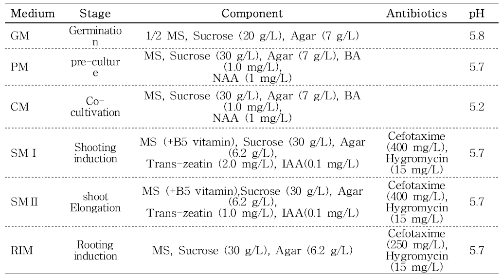 토마토 형질전환의 각 단계별 배지 조성