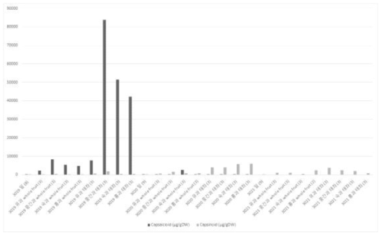 132 조합의 capsaicin/capsiate 함량