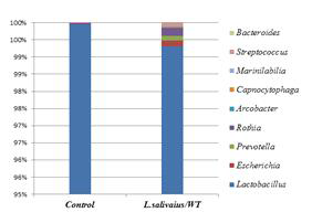 Bacterial taxonomic composition from the fecal microbiota between the control and L. salivarius groups. Variation in the relative abundance of the fecal microbiota at the genus level, in which each bar in the stacked bar charts represents the classifications of the total sequences