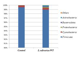 Bacterial taxonomic composition from the fecal microbiota between the control and L. salivarius groups. Variation in the relative abundance of the fecal microbiota at the phylum level, in which each bar in the stacked bar charts represents the classifications of the total sequences