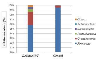Bacterial taxonomic composition from the fecal microbiota between the control and L. reuteri groups. Variation in the relative abundance of the fecal microbiota at the phylum level, in which each bar in the stacked bar charts represents the classifications of the total sequences