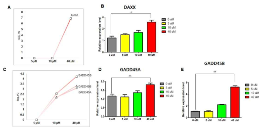 MAPK signaling pathway 관련 유전자인 DAXX, GADD45A, GADD45B의 발현 패턴을 in silico 와 in vitro 분석을 통해 비교