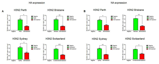 광범위한 범위의 H3N2 strain에 대한 항-인플루엔자 효능 확인