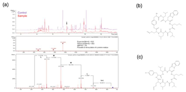 Analysis of CYC_RUF structure from CYC_RUF extract through LC/MS/MS. (a) Metabolites profile of CYC_RUF extract and analysis of molecular mass of CYC_RUF by LC/MS/MS (b) and (c) Estimation of CYC_RUF structure
