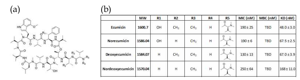 The structure of ecumicin and physico- and biochemical properties of its analogs. (a) The structure of ecumicin (b) Physico- and biochemical properties of ecumicin and its analogs