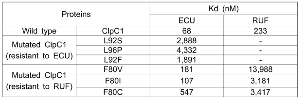 Binding profile of ECU and RUF to ClpC1 and mutated ClpC1