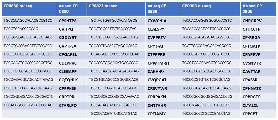 간단한 Two step system을 이용한 cyclic peptide 생산 시스템으로 제작된 cyclic peptide 리스트. 1번의 PCR과 1번의 transformation을 통해서 plate 당 150개 내외의 colony가 얻어졌으며 random한 서열을 가진 cyclic peptide 발현 벡터가 얻어짐