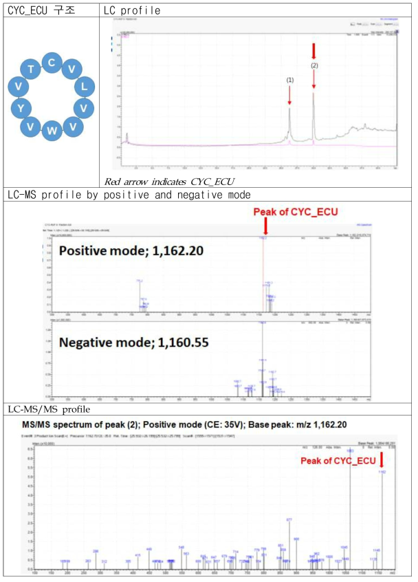 CYC_ECU의 LC-MS/MS profile
