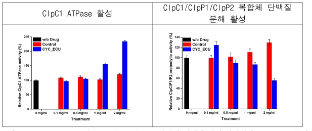 ClpC1 ATPase 및 ClpC1/ClpP1/ClpP2 복합체 단백질 분해 활성에서 CYC_ECU의 영향