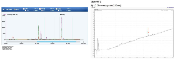 순수 분리정제된 MUT1 분석