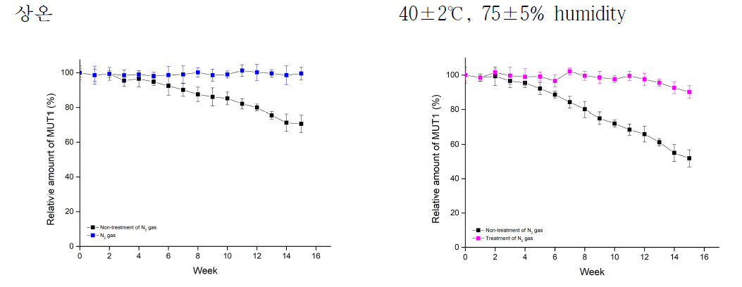 보관 온도 및 N2 gas 처리에 의한 MUT1 안정성