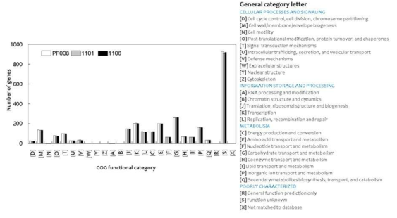 C. capsici 국내분리균주들의 COG 분석